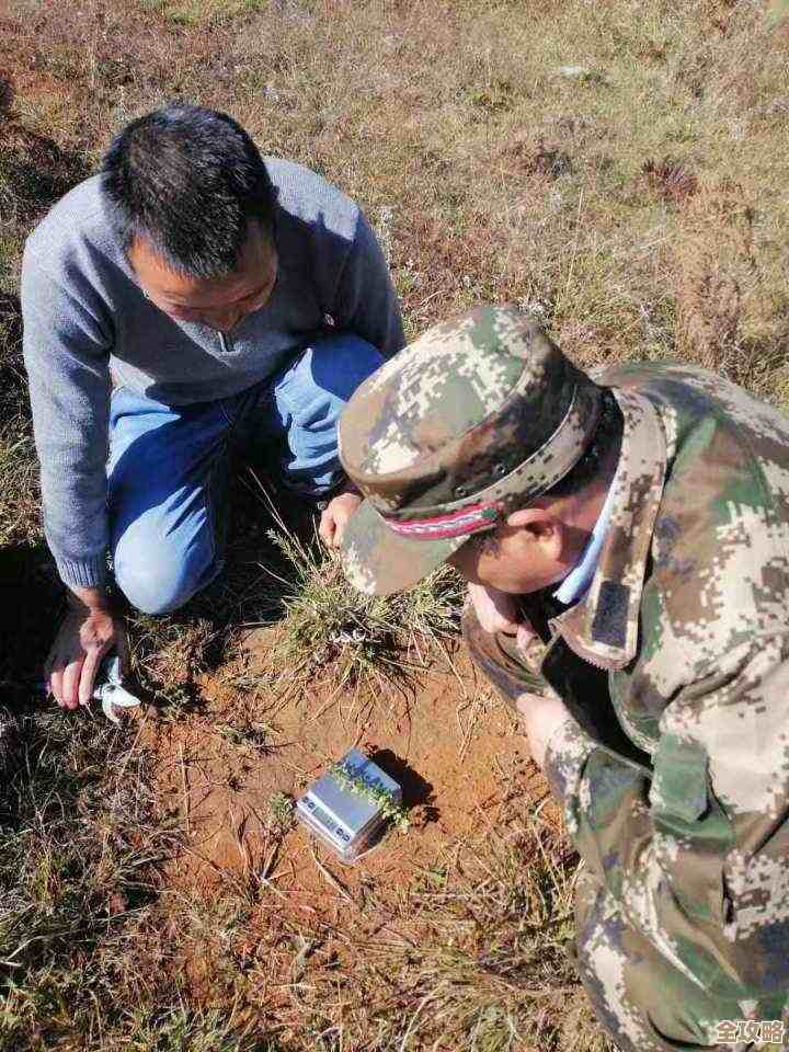 数据库到底有哪几种类型，分类和特点大概是啥样的简单说说