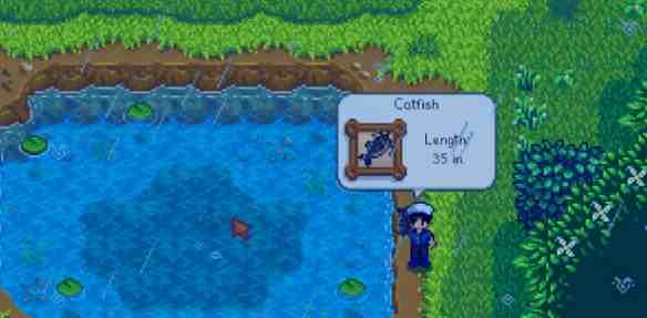 星露谷物语鳟鱼大赛这样钓才有戏,实战小抄随手翻 星露谷物语鳟鱼大赛这样钓才有戏,实战小抄随手翻