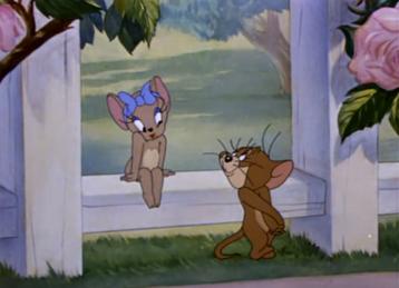 杰瑞的知识卡怎么选在猫和老鼠手游里我有几个不成熟想法