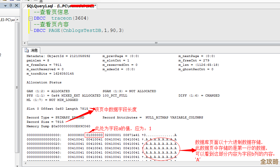 数据库用户查看那些命令怎么用，简单讲讲操作步骤和注意点