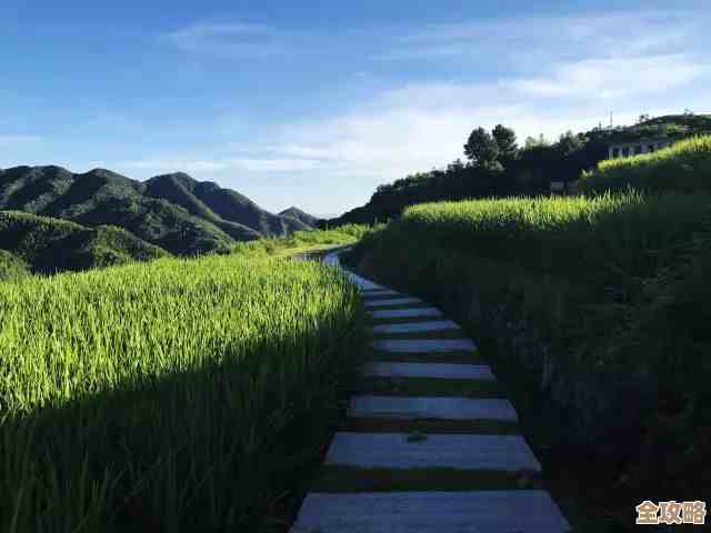 不知道怎么进桃源深处有人家仙女湖畔？跟着我这样做能解锁