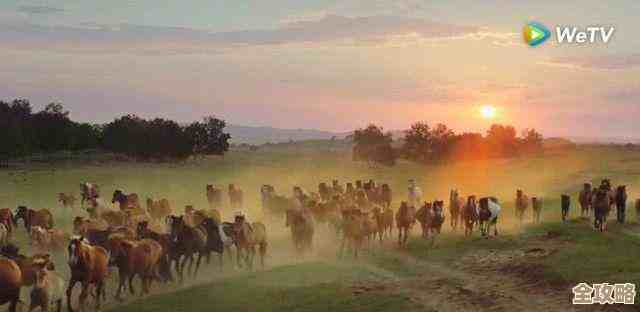 不知道从哪开始的燕云十六声花间集花间十二景色任务，乱七八糟的通关心得