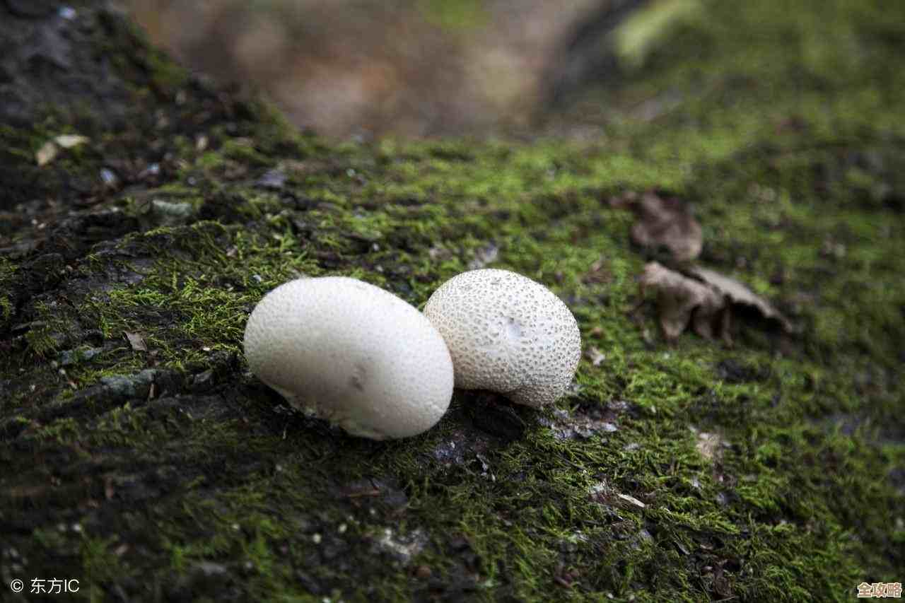 专家说数据其实已经无处不在,云原生怎么走才算真路呢? 专家说数据其实已经无处不在,云原生怎么走才算真路呢?