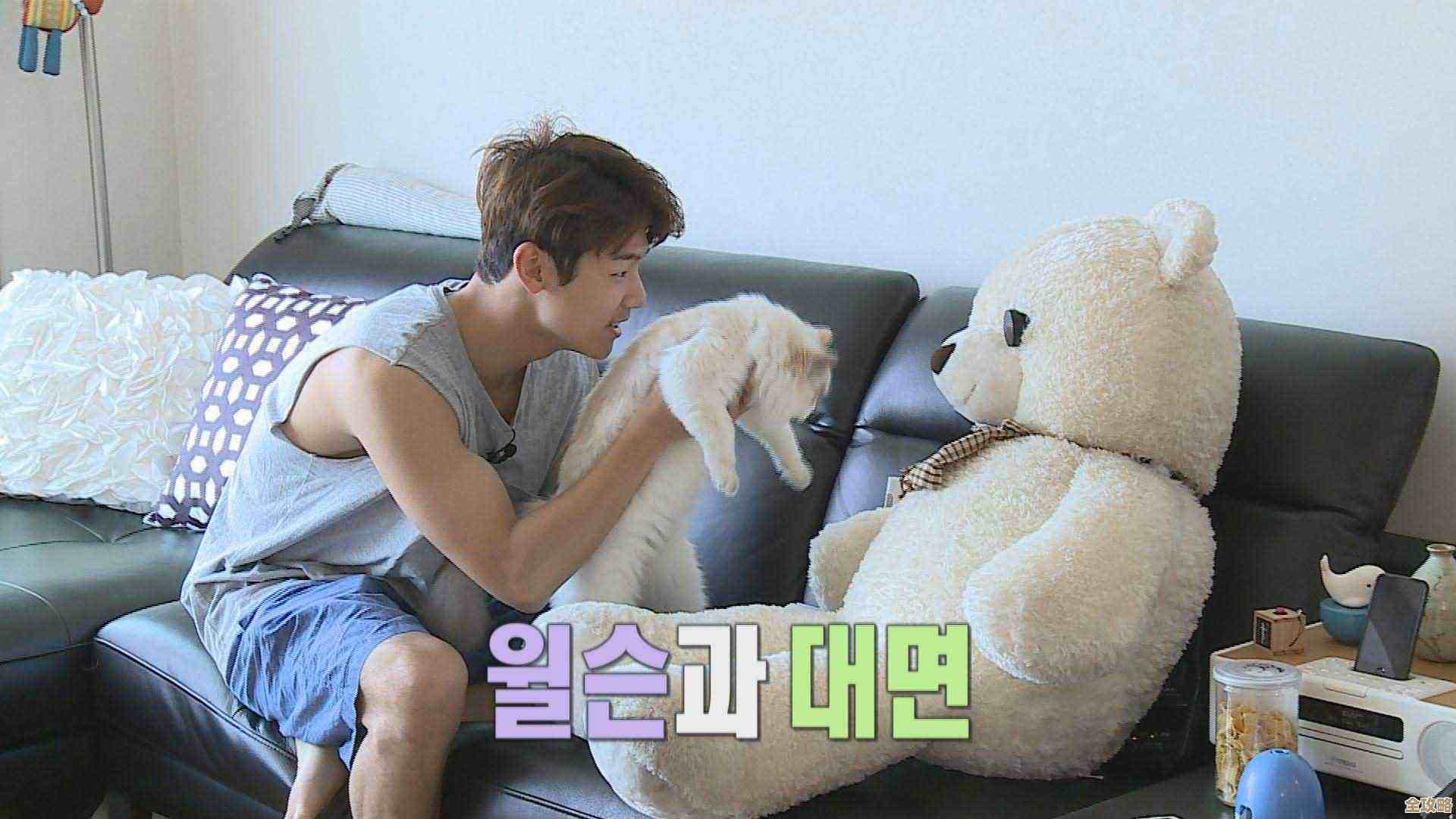 我独自生活工作室线前期那些零碎心得，别太正经就这么写着