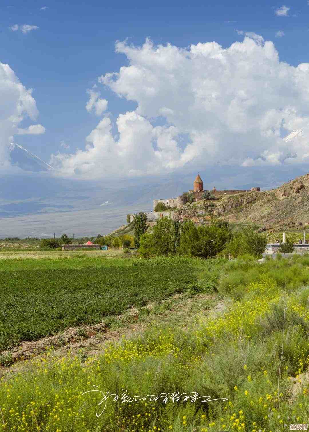 方舟生存进化地图上哪里最空旷啊，方便打基地还是随便跑跑