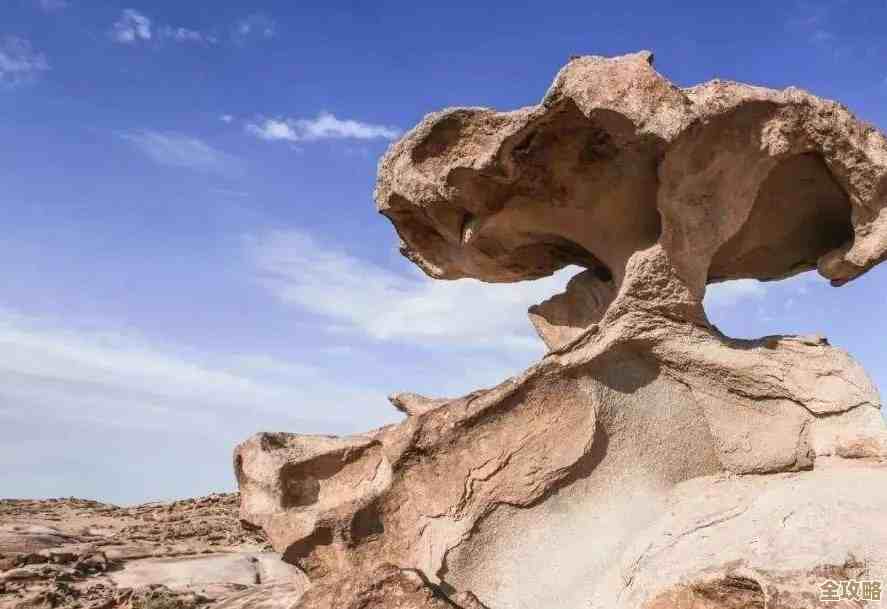 小鸡宝宝考考你，风力侵蚀能造出哪些地貌，快别偷懒想一想