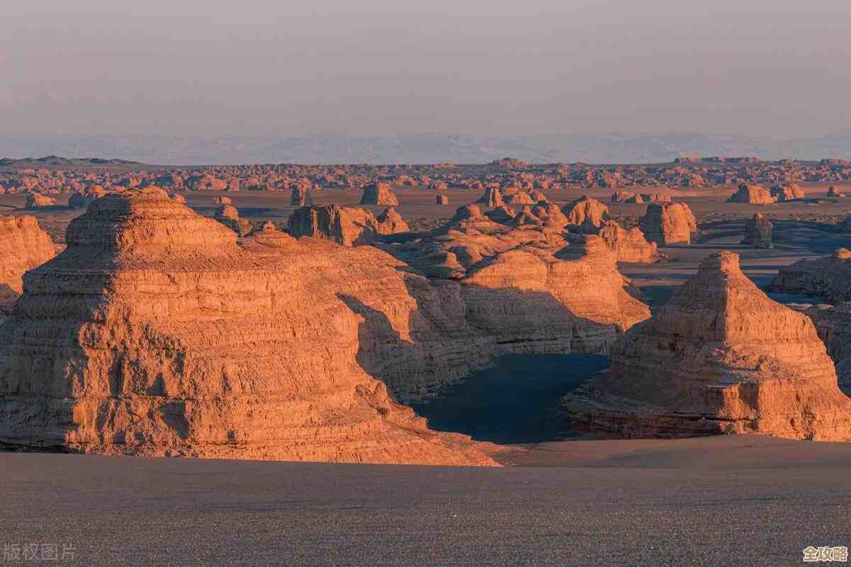 小鸡宝宝考考你，风力侵蚀能造出哪些地貌，快别偷懒想一想