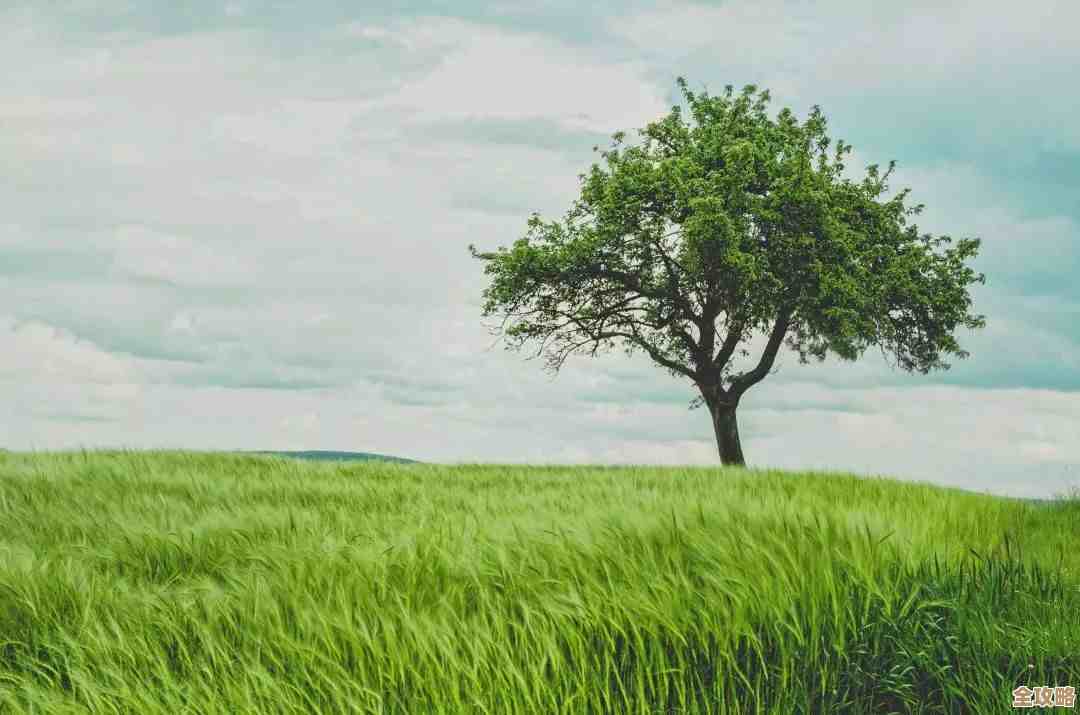 文明6的大浴场在哪个科技树分支，我有点模糊但想起个大概