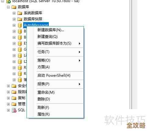 怎么把SQL Server里那些备份的实例给删了，步骤和注意点讲讲