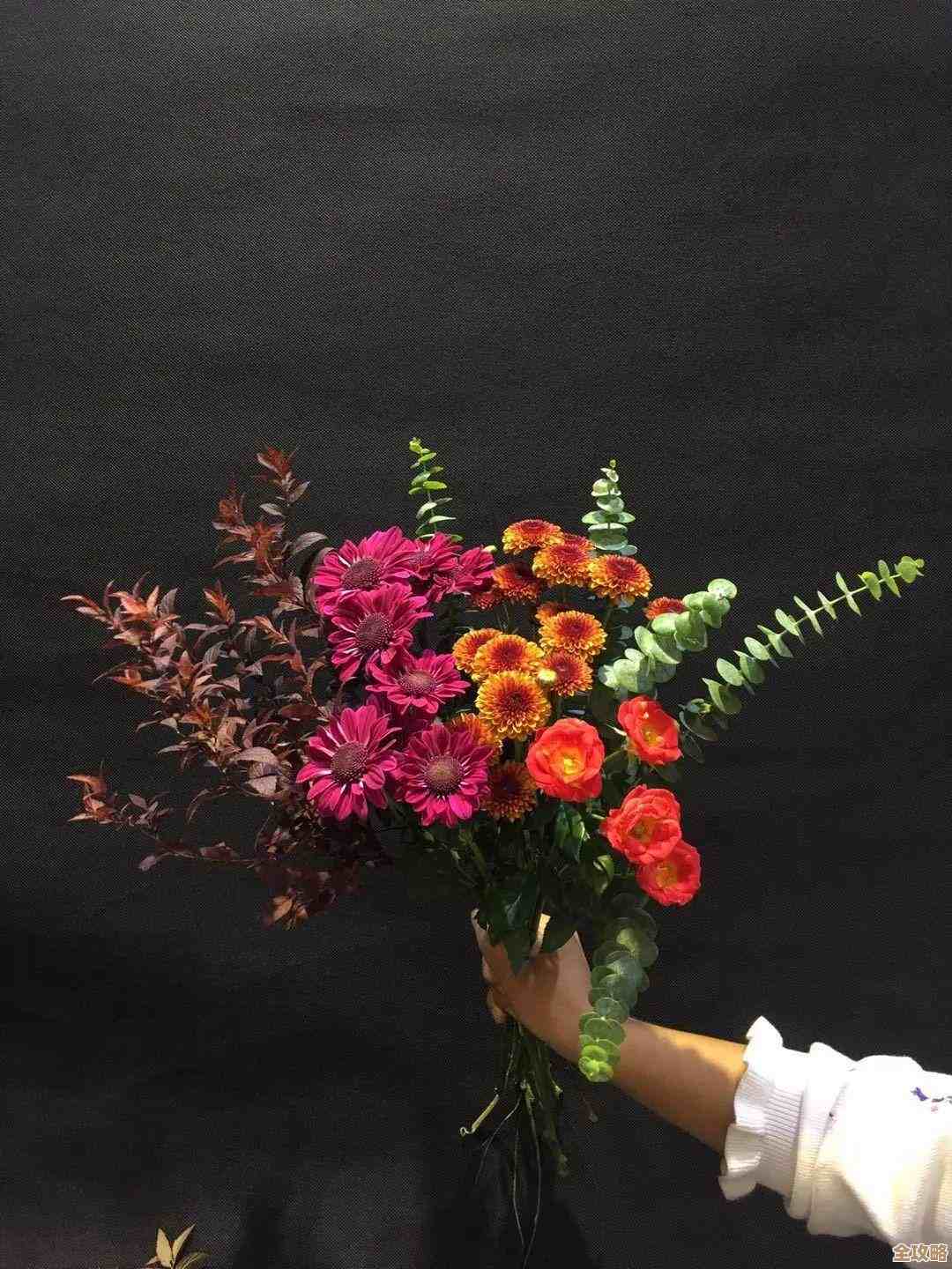 别再犹豫了，螺旋勇士万能泡泡阵容搭配那些常用套路和避坑提示