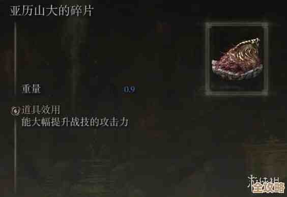 艾尔登法环哪个装备物理收益划算点，还是看打法吧