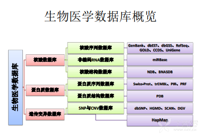 Mimic2数据库真是医学研究里不可缺少的数据宝库,数据完整又丰富 Mimic2数据库真是医学研究里不可缺少的数据宝库,数据完整又丰富