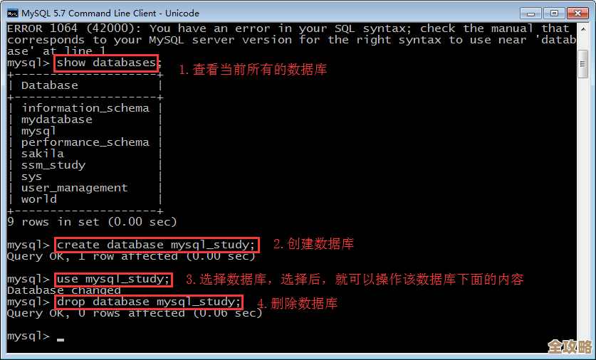 说说那些常用的SQL数据库查询代码，简单介绍一下怎么写和用法
