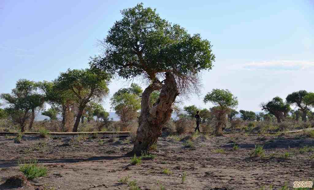 原始传奇到底哪家公司做的啊，听说有点像老传奇