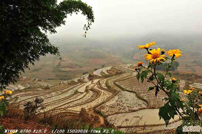 终焉之玛格诺利亚 雾中盛放之花—弗罗斯特故地全探索地图推荐，顺手把隐藏点也列了