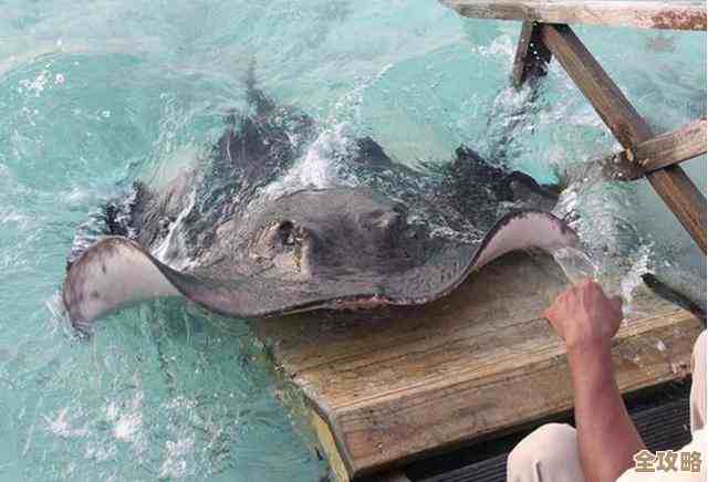 潜水员戴夫带你摸银泰坦板甲鱼那些古怪时刻和捕获小心思