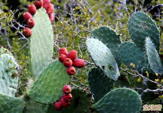 云计算带来的那些实实在在的好处，可能比你想象中还多不少
