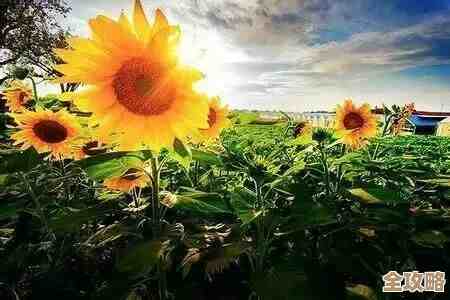 燕云十六声花间集里花间十二景色任务,手把手怎么做呢 燕云十六声花间集里花间十二景色任务,手把手怎么做呢