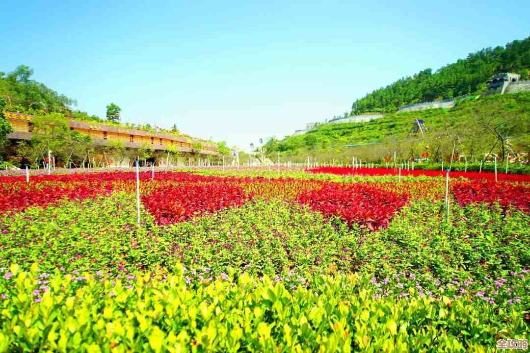 燕云十六声花间集里花间十二景色任务,手把手怎么做呢 燕云十六声花间集里花间十二景色任务,手把手怎么做呢