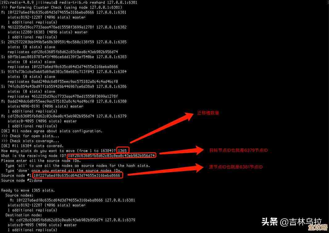 Redis集群怎么搭建和用,最实用的技巧和注意点分享 Redis集群怎么搭建和用,最实用的技巧和注意点分享