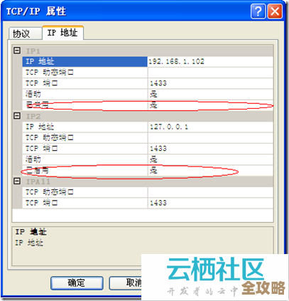 php连接数据库后乱码咋整，字符集设置那些坑别踩了