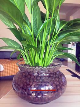 容器要快又稳，别忘了这些关键点，不然容易出问题