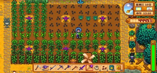 星露谷物语捕捞蛇齿单线鱼任务攻略，位置跟技巧我先写到这儿