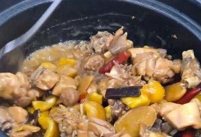 无限暖暖动物清洁能力获取方法，什么途径靠谱和凑数小技巧