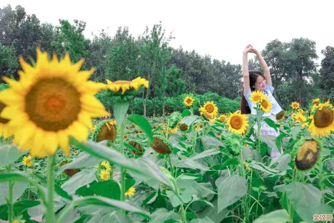花老王翻开保卫向日葵植物图鉴，好多萌芽和坑.