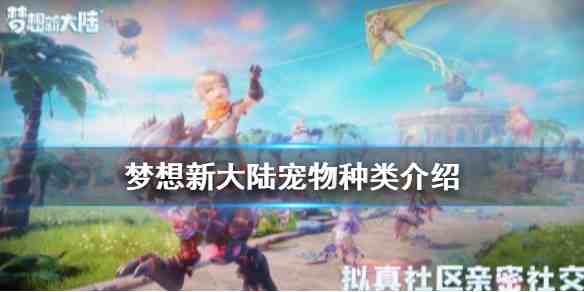 梦想新大陆护航玩法深挖，哪些点能帮你更有效护航…