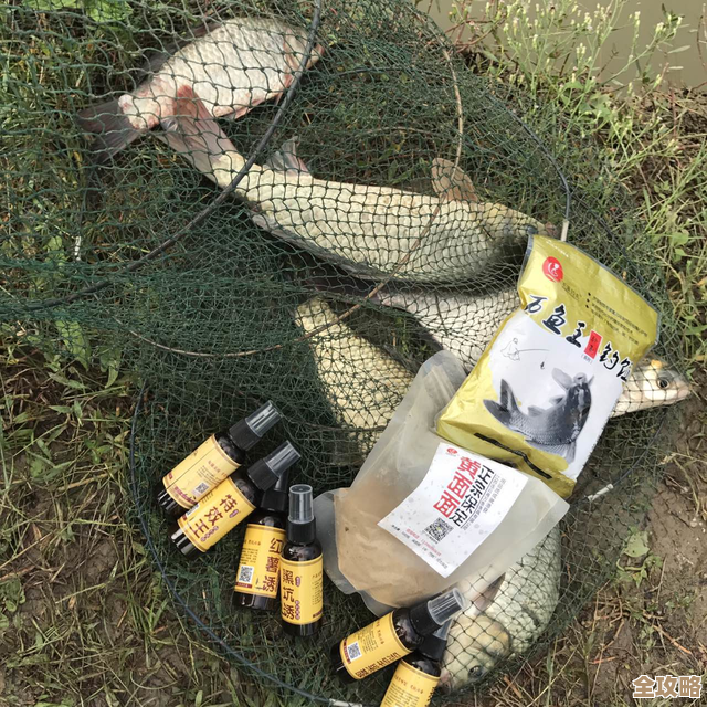 裂缝注视者怎样开，实战里常见的几种操作和小技巧…