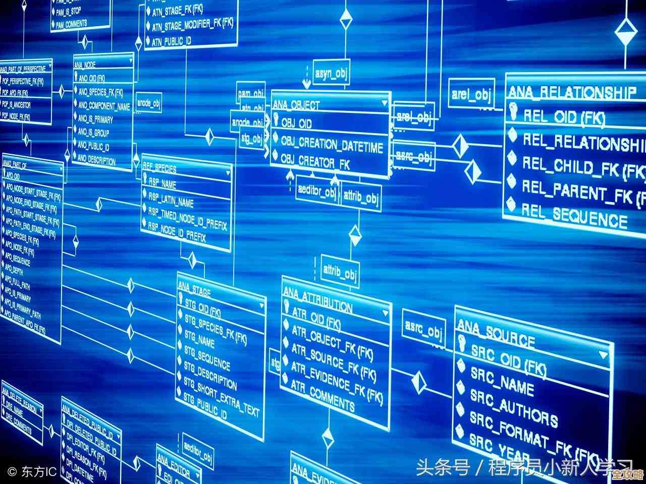 用Redis做大型网站缓存和数据处理那些事儿，聊聊它到底咋帮忙的