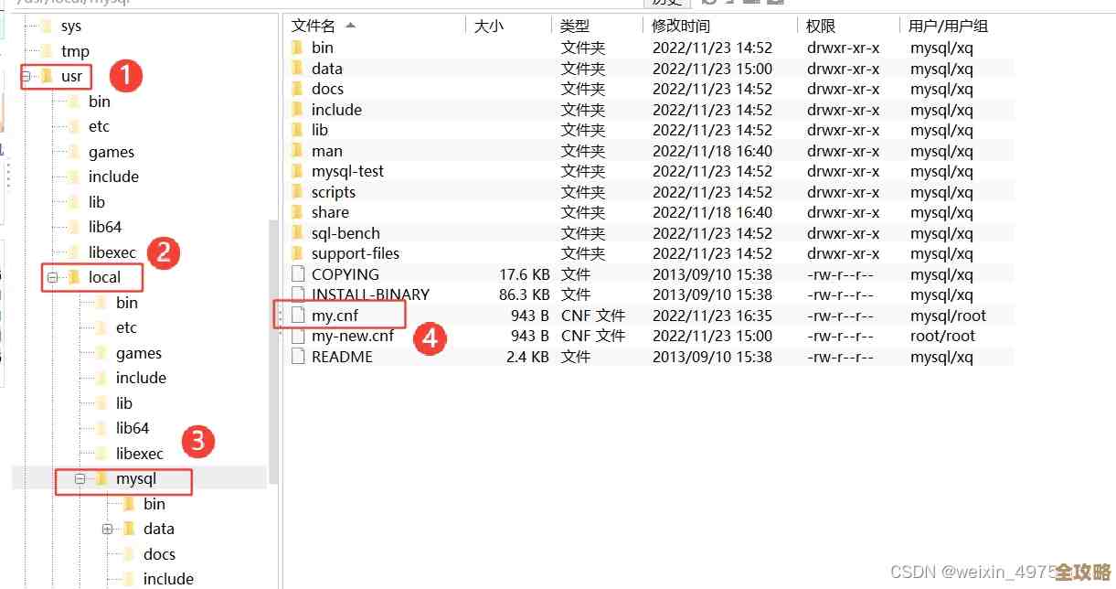 MySQL报错MY-013438密码被复制了咋整远程帮忙修复问题