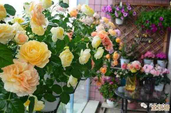 大公司花那么多钱上云，真不见得划算，有点像烧钱买教训