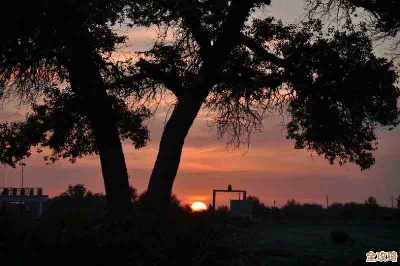 《鸣潮》另一种喧嚣]角色活动唤取内容一览，顺手碎碎念池子与奖励