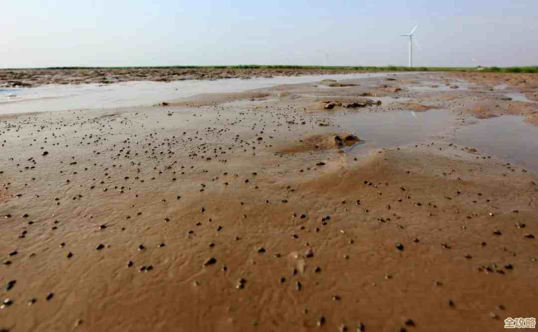 三角洲行动攀升A点要不要先放烟雾…教你几招临场反应