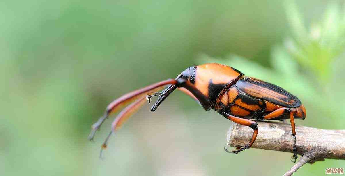 70后儿时游戏记忆，哪些经典手机游戏还能玩…