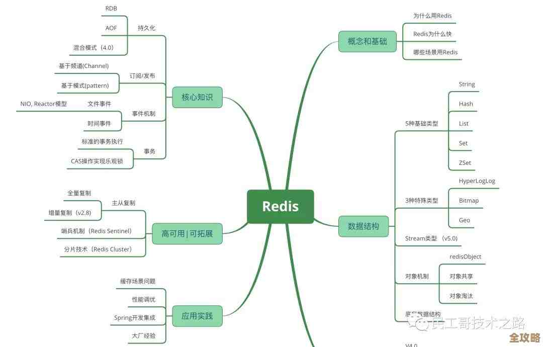 怎么快速看Redis版本号，几步搞定当前用的redis版本信息
