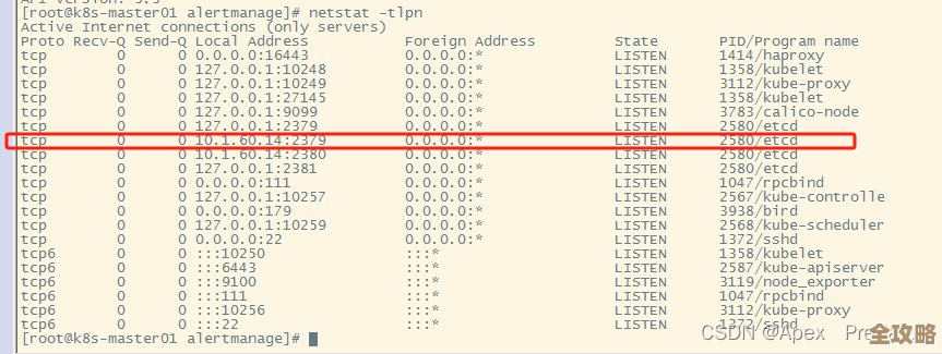 Kubernetes集群里Etcd数据怎么备份恢复，避免丢失和出错的那些事儿